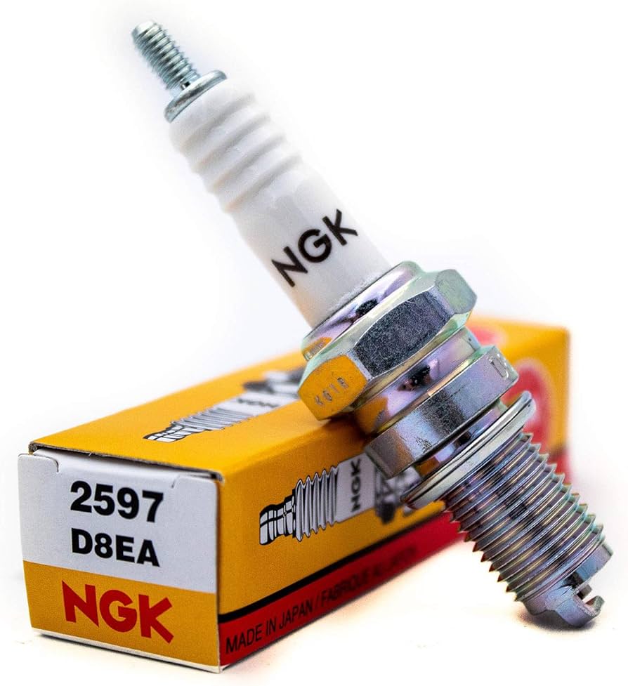 BUJIA D8EA NGK